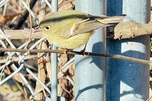 12760 Co Rd 1047, Farmersville, TX 75442 - Photo 24