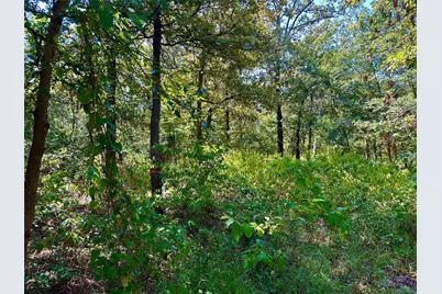 0000 County Road 3641, Sulphur Springs, TX 75482 - Photo 1