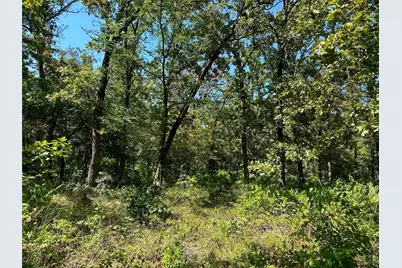 0000 County Road 3641, Sulphur Springs, TX 75482 - Photo 8