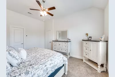 10912 Canyon Mine Drive, Aubrey, TX 76227 - Photo 12