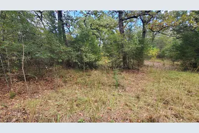 0 Apache Trail, Malakoff, TX 75148 - Photo 4