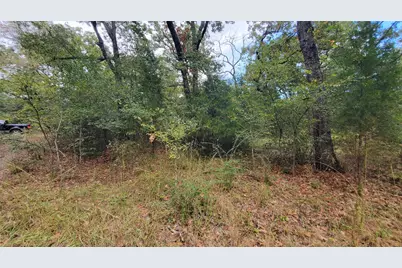 0 Apache Trail, Malakoff, TX 75148 - Photo 8