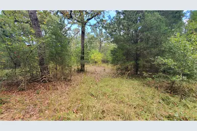 0 Apache Trail, Log Cabin, TX 75148 - Photo 12