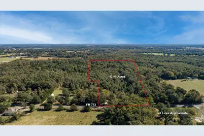 10081 Fm 773, Ben Wheeler, TX 75754 - Photo 4