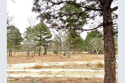 3729 Pinewood Way, LaRue, TX 75770 - Photo 14