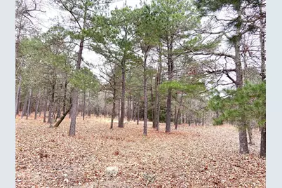 3729 Pinewood Way, LaRue, TX 75770 - Photo 12