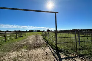 1695 Co Rd 295, Hico, TX 76457 - Photo 12