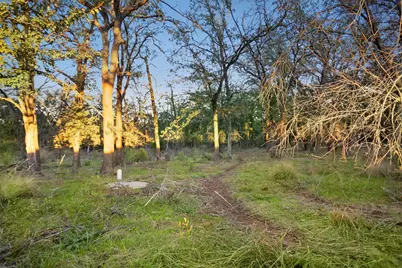 204 N Cheyenne Trail, Springtown, TX 76082 - Photo 2