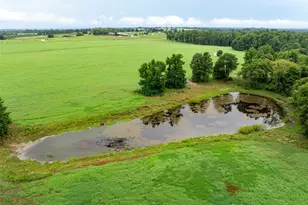 7111 Fm 2339, Murchison, TX 75778 - Photo 18