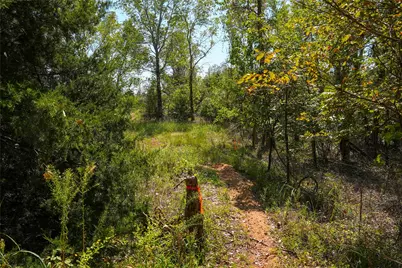 Tbd County Road 4667, Rhome, TX 76078 - Photo 32
