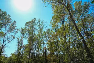 Tbd County Road 4667, Rhome, TX 76078 - Photo 6