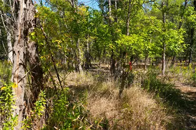 Tbd County Road 4667, Rhome, TX 76078 - Photo 30