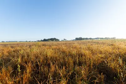 Tbd Brushy Road #Tract 1, Granbury, TX 76048 - Photo 16