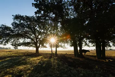 Tbd Brushy Road #Tract 5, Granbury, TX 76048 - Photo 14