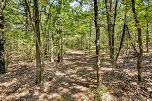 1793 Greer, Sadler, TX 76264 - Photo 32