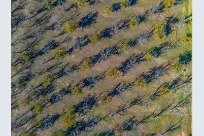 8313 W Landings Road, Granbury, TX 76049 - Photo 8