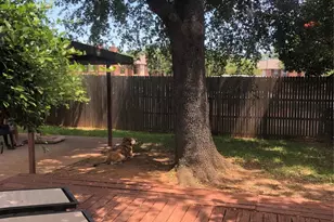 808 Rock Creek Dr, Euless, TX 76039 - Photo 14