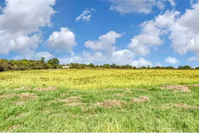 Tbd Wilson Road, Perrin, TX 76486 - Photo 6