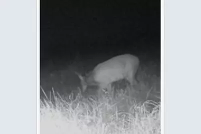 345 Cr 3346, Hubbard, TX 76648 - Photo 16