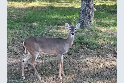 0 St Andrews Drive, Mabank, TX 75156 - Photo 10