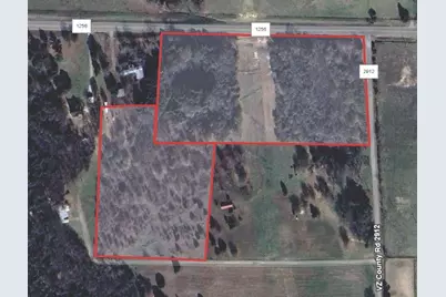Tbd Fm 1256, Canton, TX 75147 - Photo 2