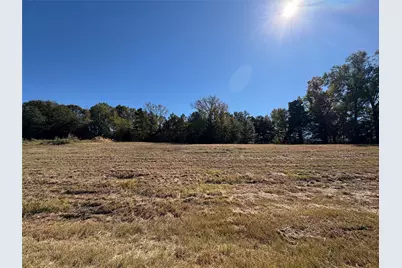 0 State Highway 155, Frankston, TX 75763 - Photo 4