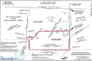 1191 Co Rd 4186, Quitman, TX 75783 - Photo 36
