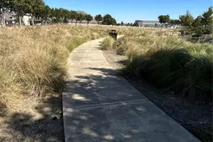 10013 Warberry Trail, Fort Worth, TX 76131 - Photo 24