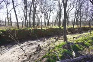 286 W Ridge St, Decatur, TX 76234 - Photo 10