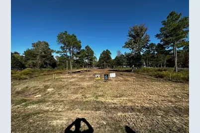 Legacy Shores Lot 21 3142 Shadow Pine Drive, LaRue, TX 75770 - Photo 2