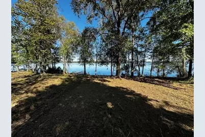 Legacy Shores Lot 21 3142 Shadow Pine Drive, LaRue, TX 75770 - Photo 4