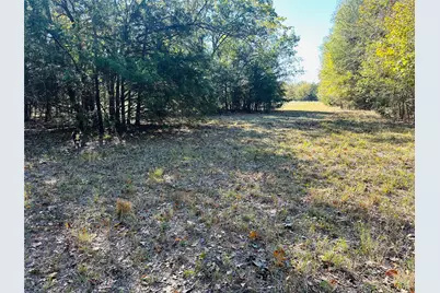 1683 County Road 3563 #(22.106 ac.), Dike, TX 75437 - Photo 8