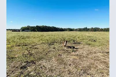 1683 County Road 3563 #(22.106 ac.), Dike, TX 75437 - Photo 12