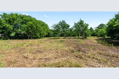 19930 Leisureland Road, Payne Springs, TX 75156 - Photo 4