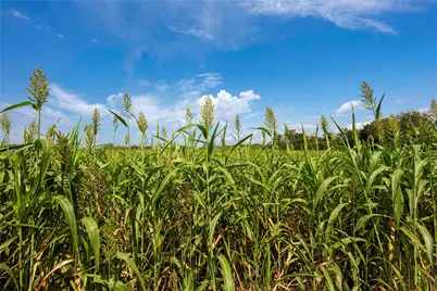 395 County Rd 2530, Meridian, TX 76665 - Photo 4