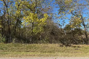 13 8 Acres / Tract 5 Winn Rd, Collinsville, TX 76268 - Photo 1