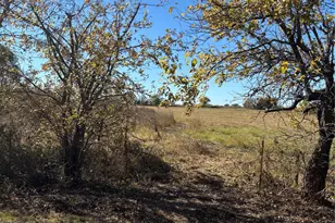 13 8 Acres / Tract 6 Winn Rd, Collinsville, TX 76268 - Photo 1