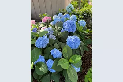 2626 Shoreline Drive, Sherman, TX 75092 - Photo 18