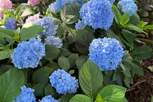 2626 Shoreline Dr, Sherman, TX 75092 - Photo 18