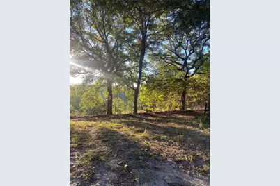 20453 Fm 1253, Lindale, TX 75771 - Photo 2