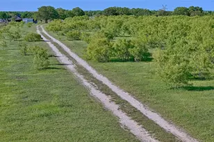 8791 State Hwy 59 S, Bowie, TX 76230 - Photo 20