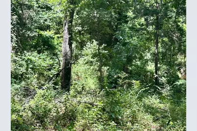 811 Lcr 238, Mexia, TX 76667 - Photo 8