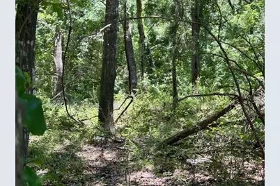 811 Lcr 238, Mexia, TX 76667 - Photo 10