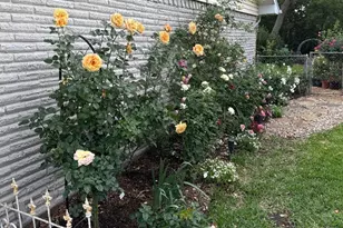 5608 Winifred Dr, Fort Worth, TX 76133 - Photo 26