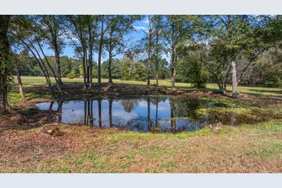 Tbd Fm Road 16, Winona, TX 75792 - Photo 6