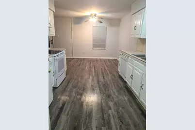 12412 Tulip Drive, Balch Springs, TX 75180 - Photo 4