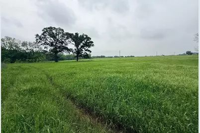 20 Acres Gathings Avenue, Covington, TX 76636 - Photo 10