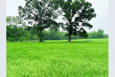 20 Acres Gathings Avenue, Covington, TX 76636 - Photo 12