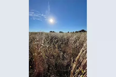 935 Vz County Road 3201, Wills Point, TX 75169 - Photo 4