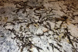 1815 Real Dr, Waco, TX 76712 - Photo 20